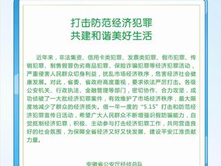 打击经济犯罪 构建和谐社会