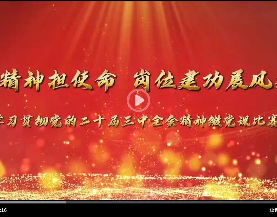 机关党委举办“学精神担使命 岗位建功展风采”青年党员学习贯彻党的二十届三中全会精神微党课大赛